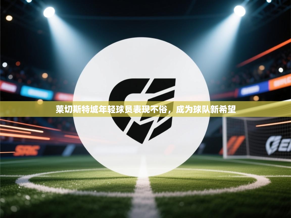 莱切斯特城年轻球员表现不俗,成为球队新希望 第2张