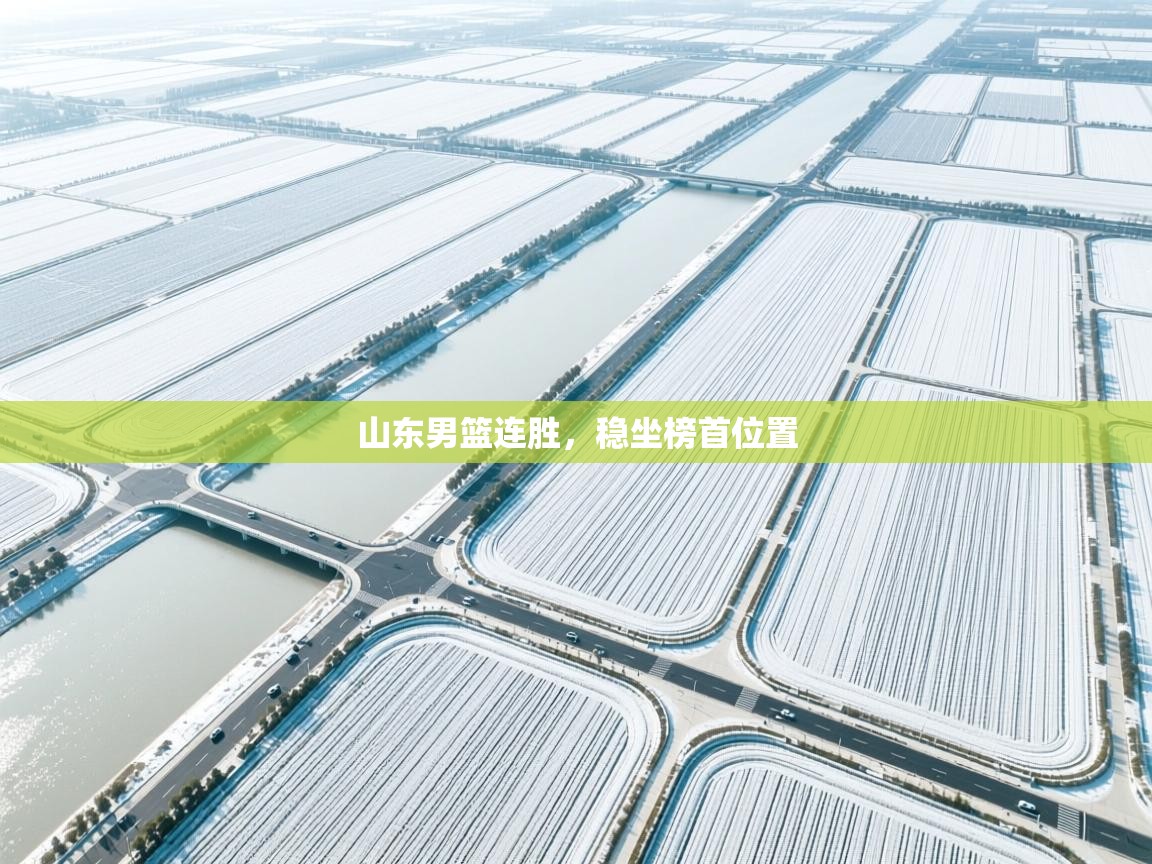 山东男篮连胜,稳坐榜首位置 第2张