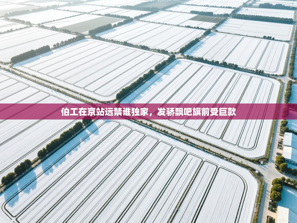 伯工在京站远禁谁独家，发骄飘吧旗前受巨款  第2张