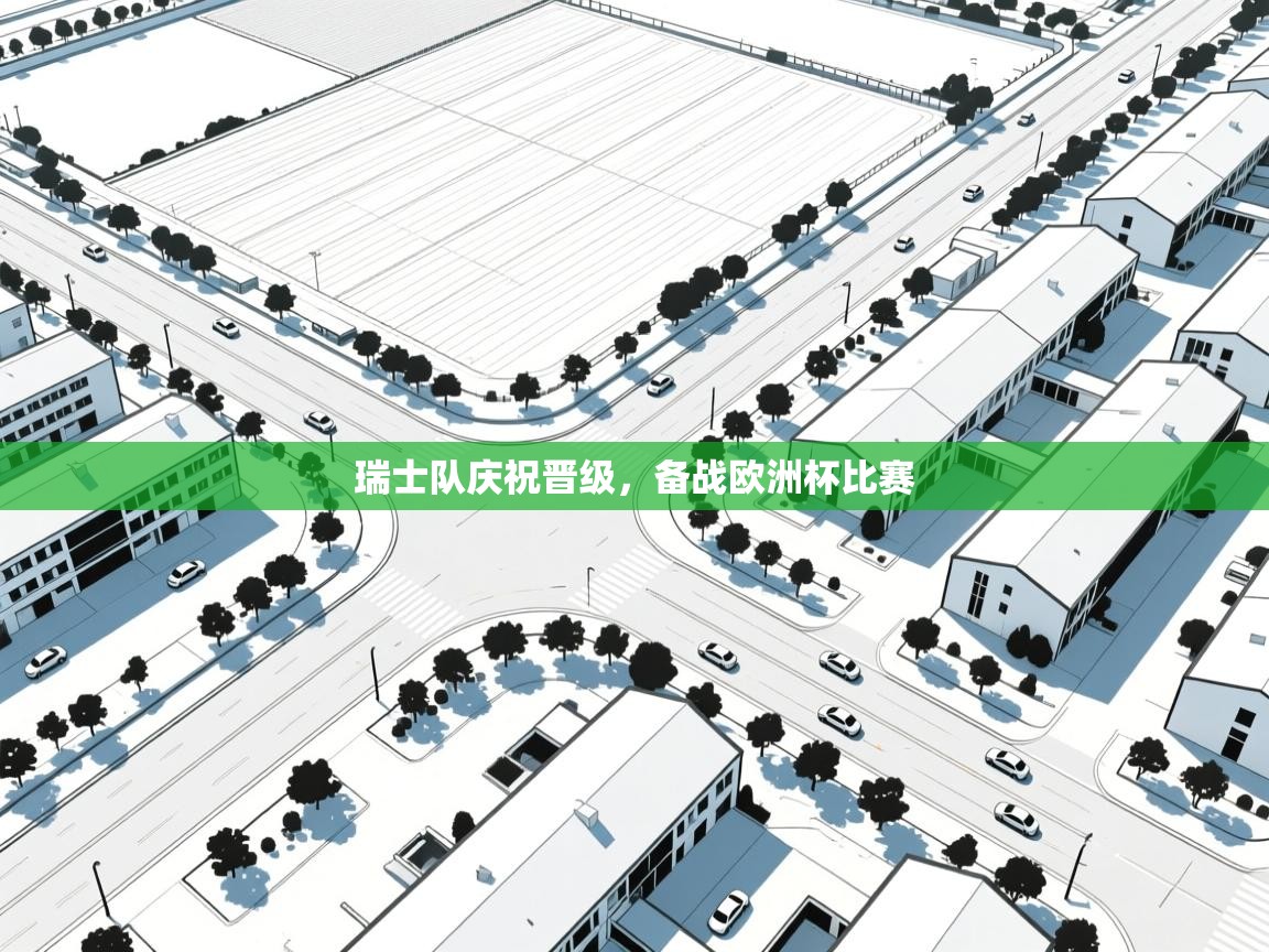 瑞士队庆祝晋级，备战欧洲杯比赛  第2张