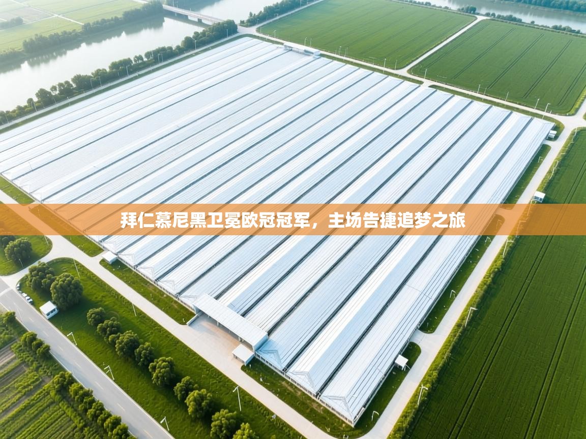 拜仁慕尼黑卫冕欧冠冠军，主场告捷追梦之旅  第2张