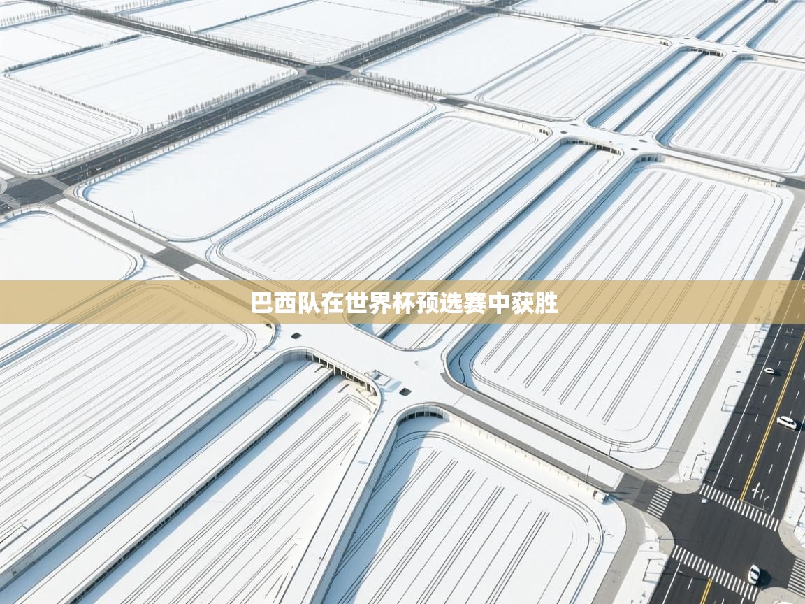 巴西队在世界杯预选赛中获胜  第2张