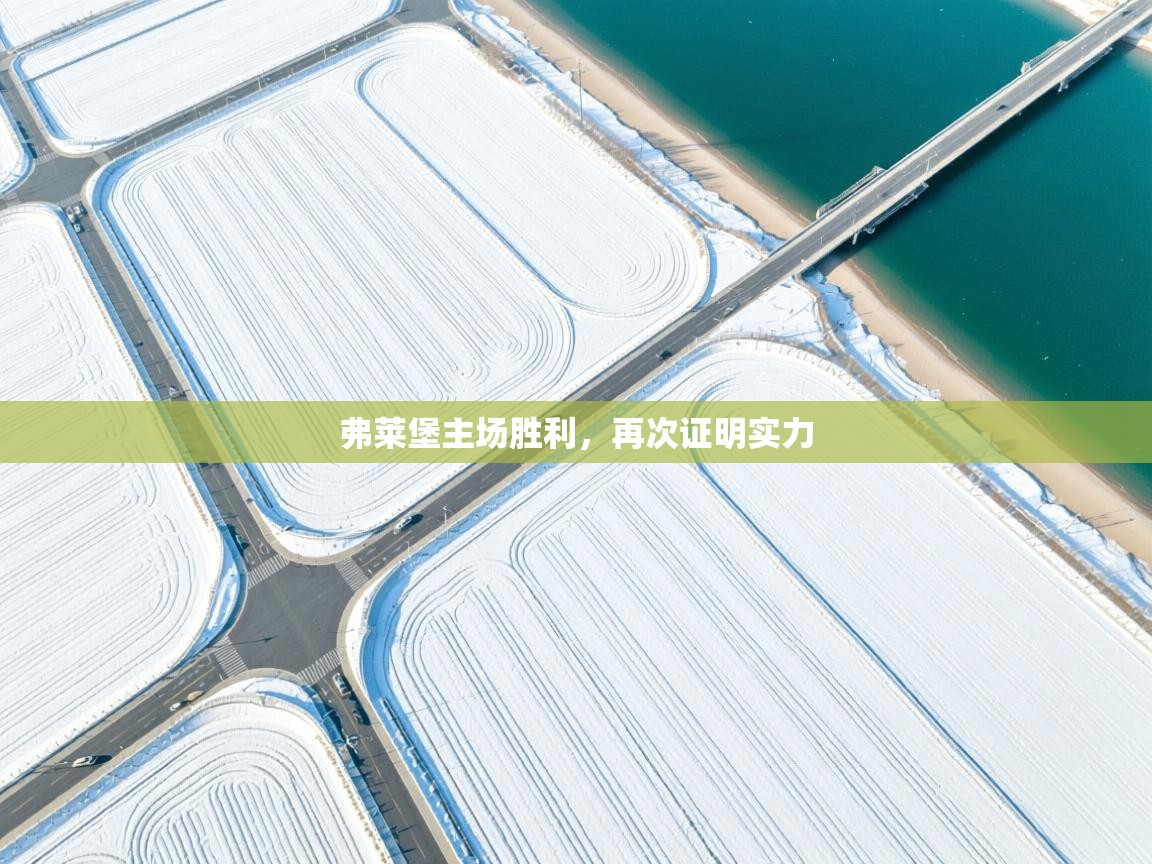 弗莱堡主场胜利，再次证明实力  第2张