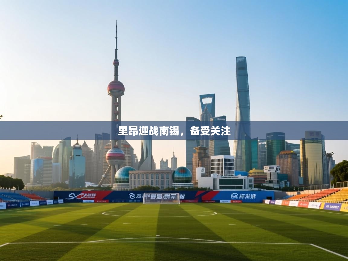 里昂迎战南锡,备受关注 第2张