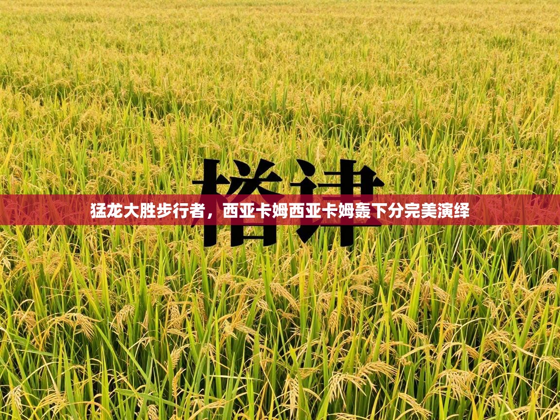 猛龙大胜步行者,西亚卡姆西亚卡姆轰下分完美演绎 第2张